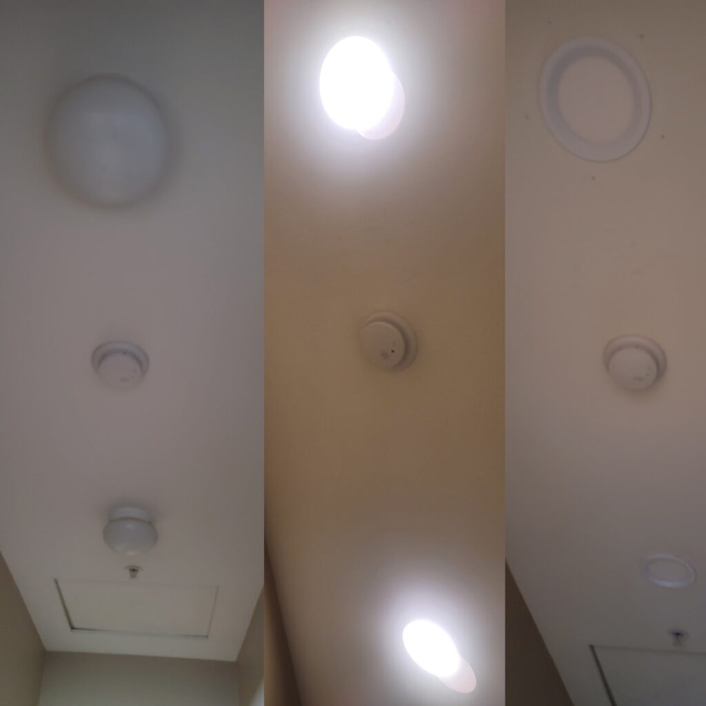 1000010515 1000010515